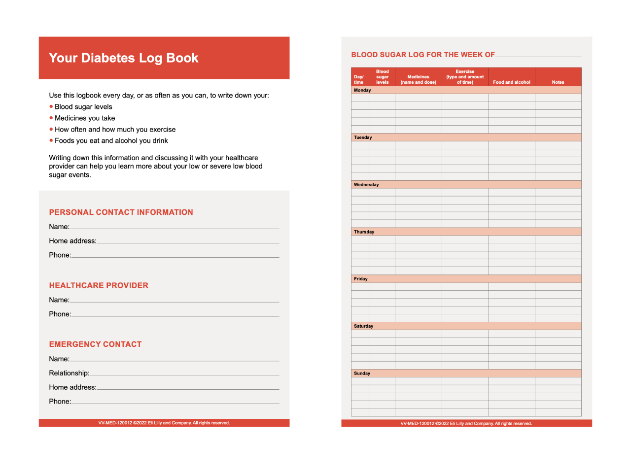 low blood sugar log book
